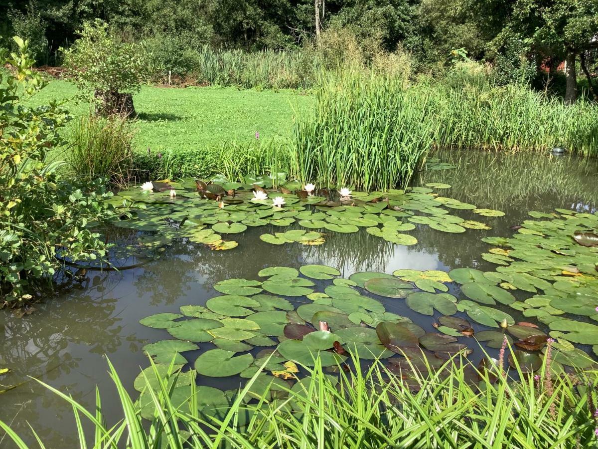 Ferienhaus Maar Beckingen Dış mekan fotoğraf